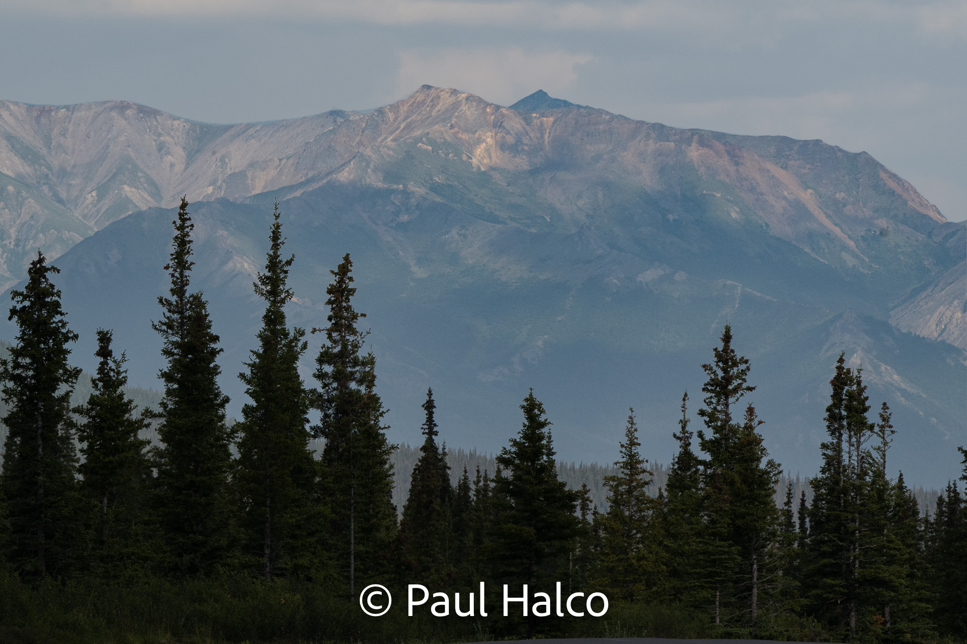 Paul Halco - Denali NP-10